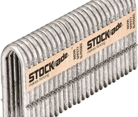 Stockade Staples 40mm