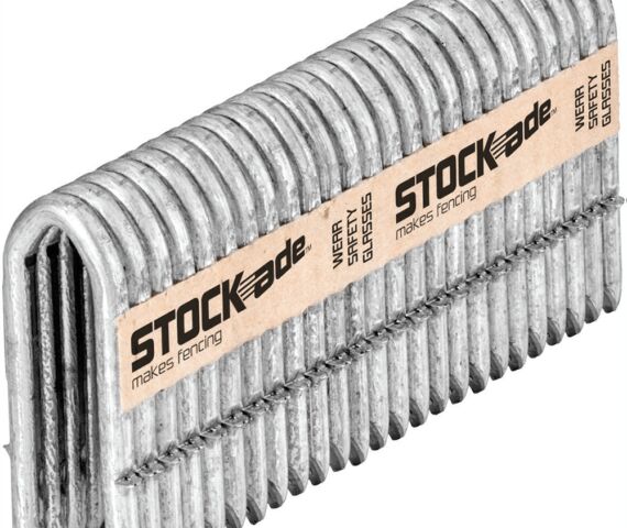 50mm Staples