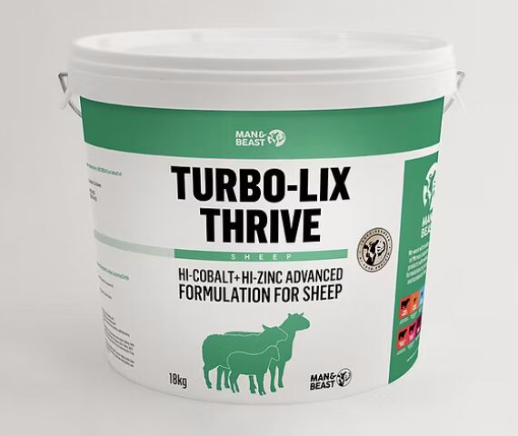 TURBO THRIVE LIX SHEEP