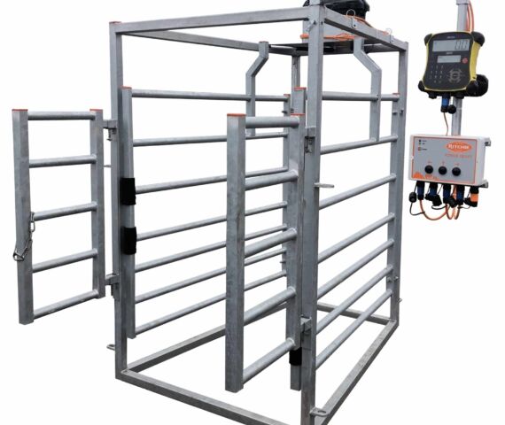 3 Way Cattle Drafting Gate