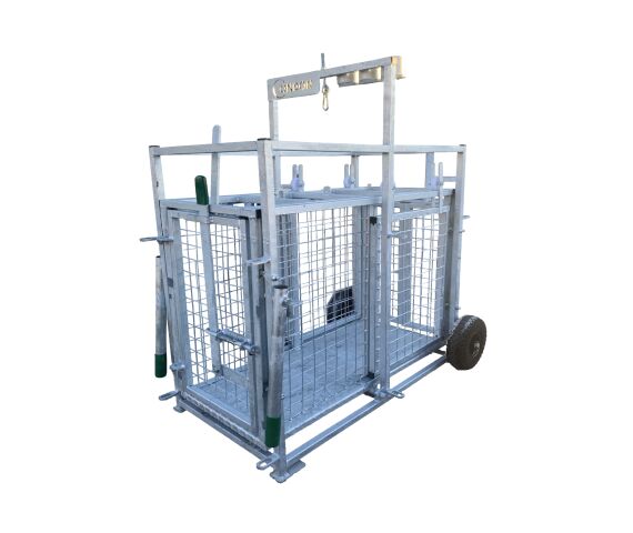 Lamb Weigh Crate Condon