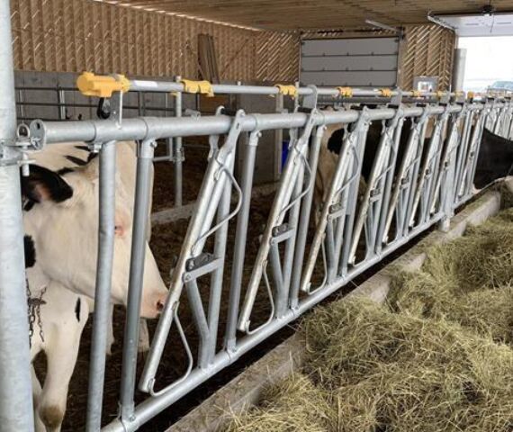 Self Locking Feed Barrier 15ft