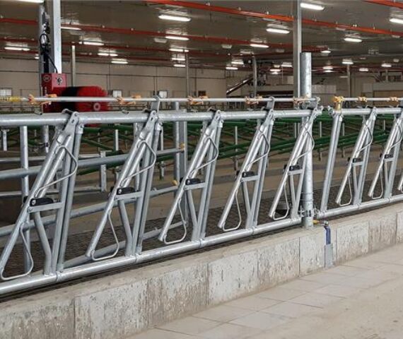 Self Locking Feed Barrier 20ft