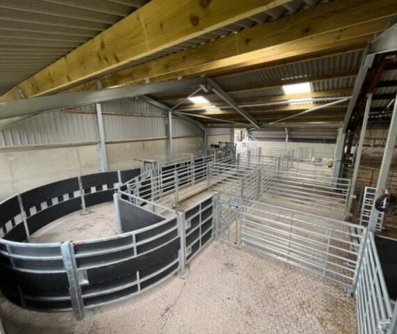 Bateman Cattle Handlig System