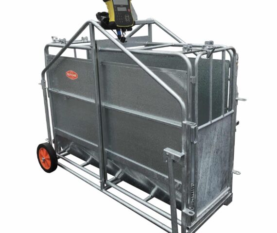 Calf Weighing Crate with Choice of Indicator