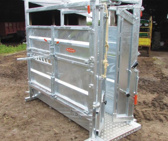 Continental Cattle Crate with Automatic Yoke