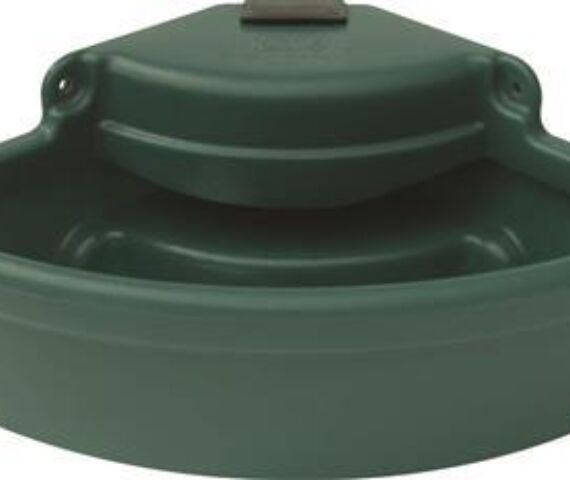 Corner Green Water Drinker