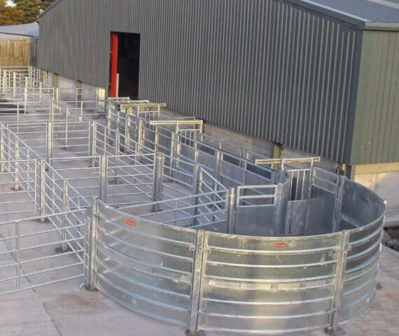 Custom Cattle Handling System