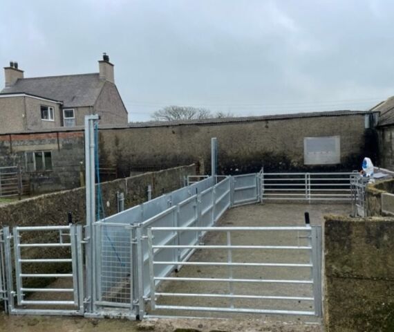 Custom Sheep Handling System