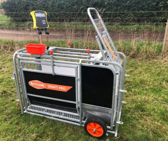 Draft Pro with Guilltotine Gate