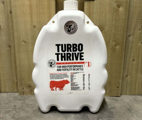 MB 5 L Cattle Thrive Drench