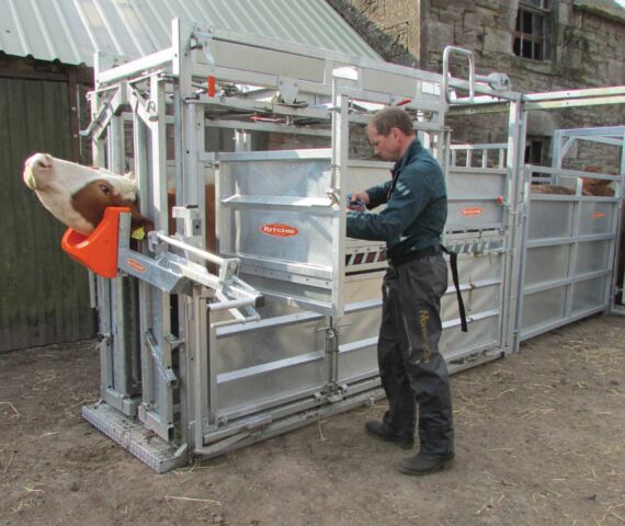 Squeeze Crate with Automatic Yoke